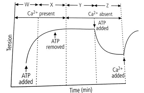 Refer to the given graph carefully and answer the following question ...