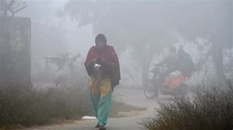 Weather forecast: Cold wave conditions over northwest India to abate ...