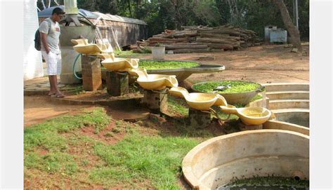 D'source Design Gallery on The Auroville Experiment - | D'source ...