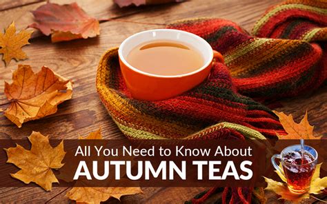 All You Need to Know About Autumn Teas | Fall Flush Teas – Golden Tips