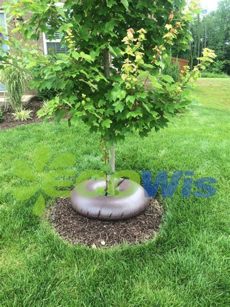 Image result for Drip Irrigation Tree Ring