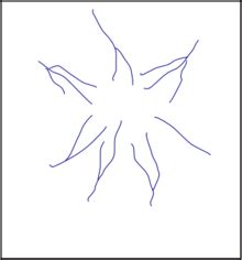 Radial Drainage Pattern - Geography notes