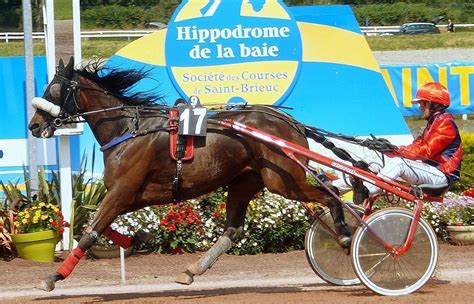 Yffiniac. Les paris sont ouverts pour le Grand national du trot . Sport ...