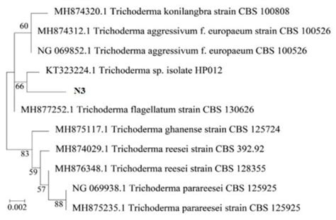 Growth Stimulation, Phosphate Resolution, and Resistance to Fungal ...
