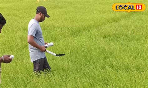 India's first field-based disease control research using sensors and ...