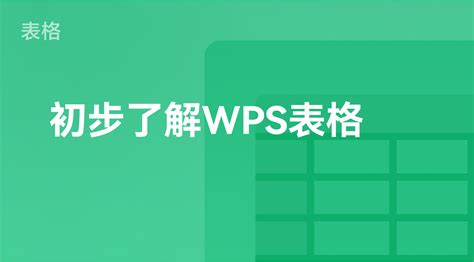 Creating View On Table Data in WPS Spreadsheet 的图像结果