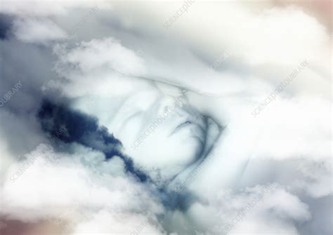 Image result for Sleep Offspring Graphical Abstract