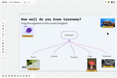 Basics of Using Miro 的图像结果