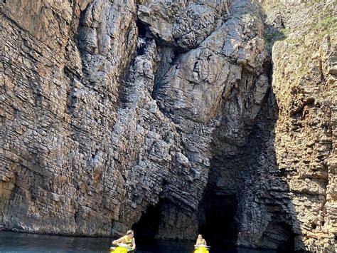 LASSDIVE (2026) All You Need to Know BEFORE You Go (w/ Reviews ...