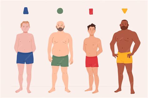 Free Vector | Flat-hand drawn types of male body shapes