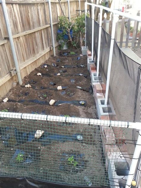 DIY PVC Garden Enclosure | Outdoor Structures