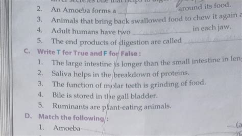 1.an amobia from a ....around its food 2.animals that bring back is ...