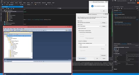 Vb.net SQL Server Sample Project 的图像结果