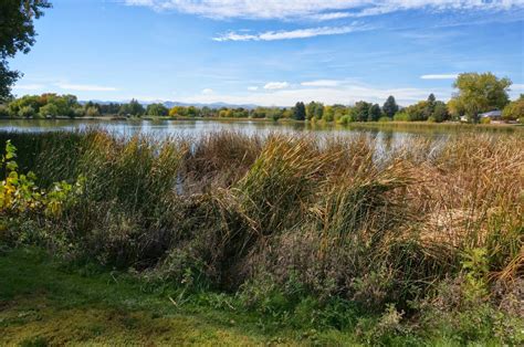 9 Reasons to Love Athmar Park • Dwell Denver Real Estate