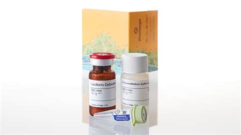P450-Glo™ CYP3A4 Assay | CYP3A4 Inhibitor Screening