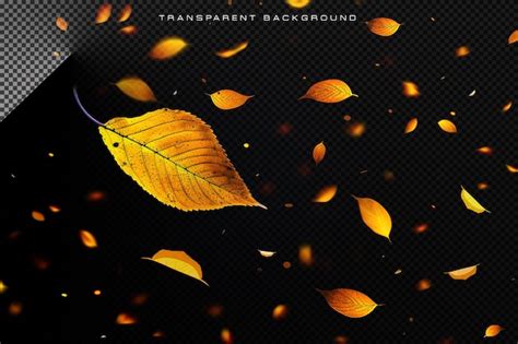 Leaf falling in transparent background | Premium AI-generated PSD