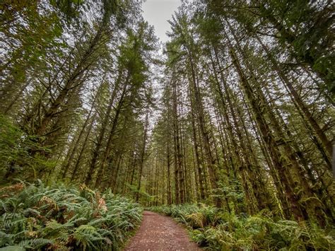 Hiking Cherry Creek Falls in Washington