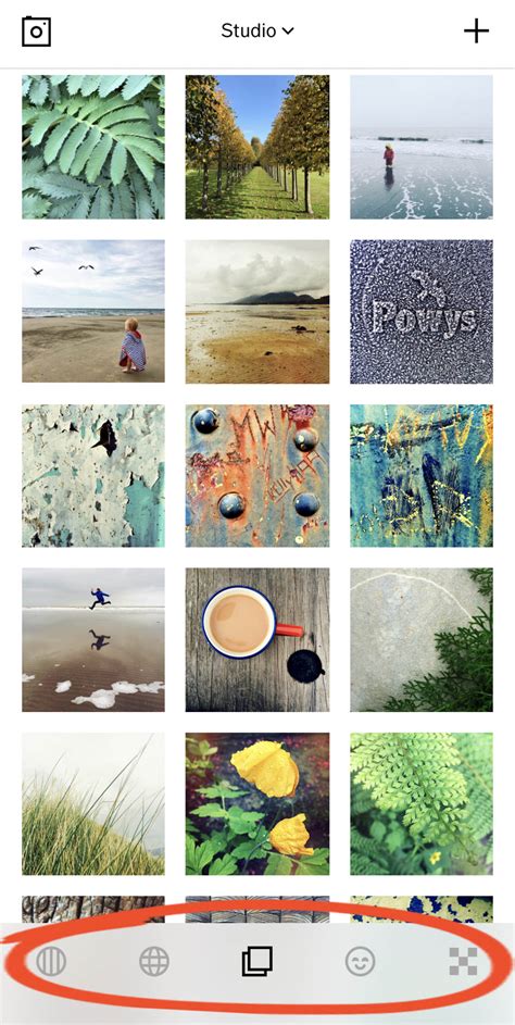 Download Vsco Profile Picture - Download Vsco Downloader Download Vsco ...