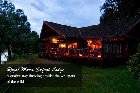 Head To Masai Mara National Park: For An Encounter With Africa’s Best