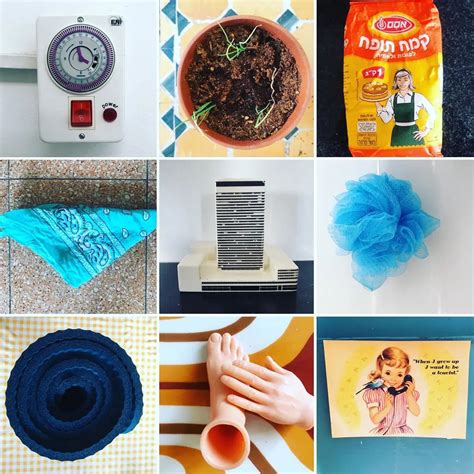 Image result for Objects. Examples