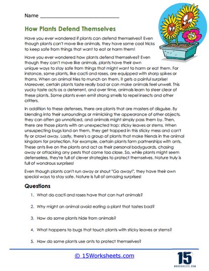 Image result for Informational Text Lessons 6th-Grade