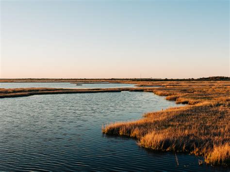 12 Intriguing Facts About Coastal Plain - Facts.net