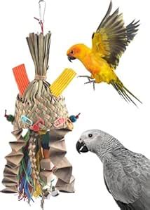 Bissap Bird Chew Toys, Parakeet Woven Natural Palm Frond Shredding Toys ...