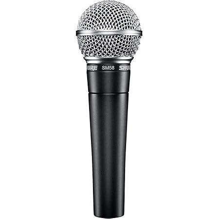 Shure SM58S Microphone with Dynamic on/Off Switch : Amazon.in: Musical ...