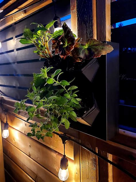 Self-Watering Wall-Mounted Planter Indoor/Outdoor Decor with 4 Pots ...