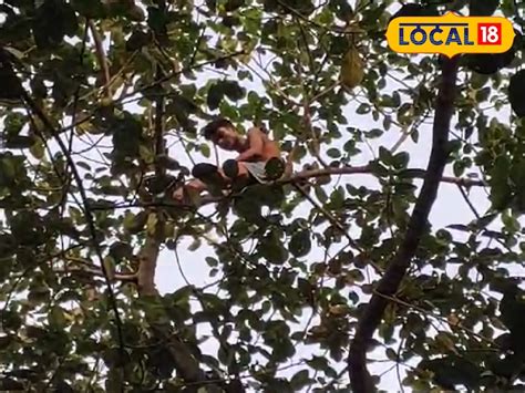 West Bardhaman News : ঘরে অশান্তি করে গাছের মগডালে যুবক, পাঁচ ঘন্টা ধরে ...