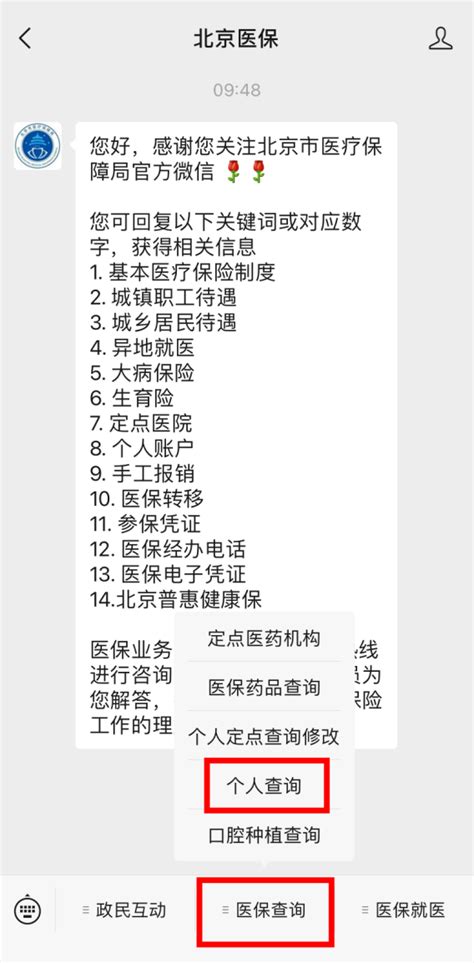 如何查询个人医疗消费信息？_便民经验_首都之窗_北京市人民政府门户网站