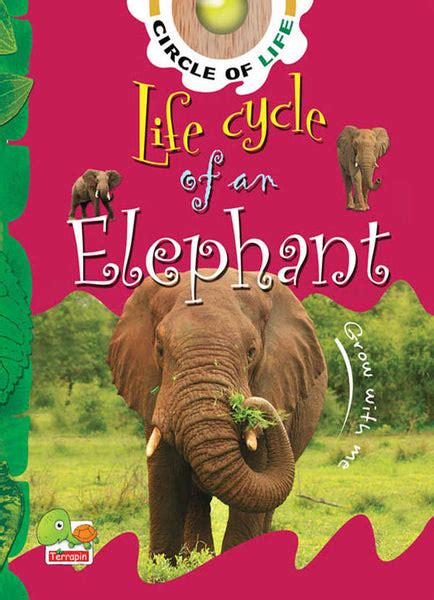 Life cycle of an elephant | Goyalpublishers