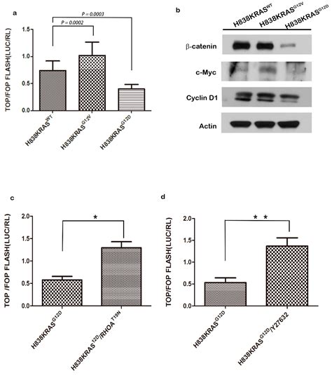 The Inhibition of Wnt Restrain KRASG12V-Driven Metastasis in Non-Small ...