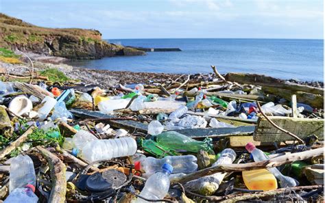Microplastic Burden in Indian Ocean Clearly Measurable, Says New Study ...