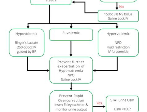 Hyponatremia Algorithm 的图像结果