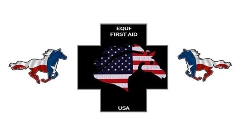 Equine Emergency First Aid Class, R&R Horse Hacienda, Bandera, 27 April ...