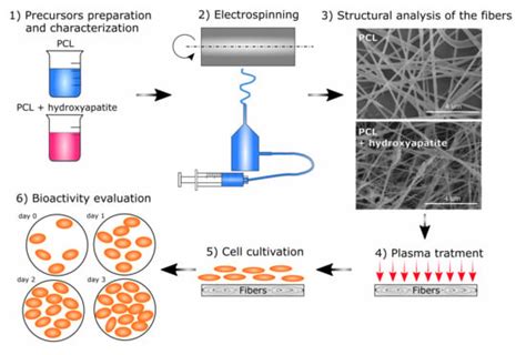 Influence of Hydroxyapatite Nanoparticles and Surface Plasma Treatment ...