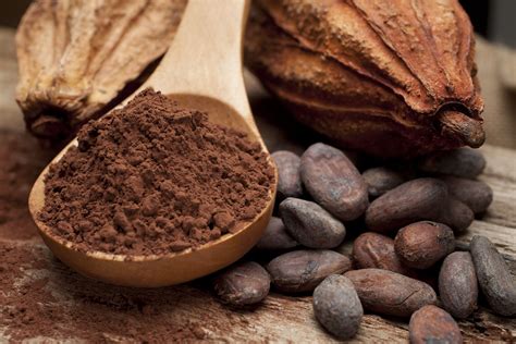 Cocoa bean Facts, Health Benefits and Nutritional Value