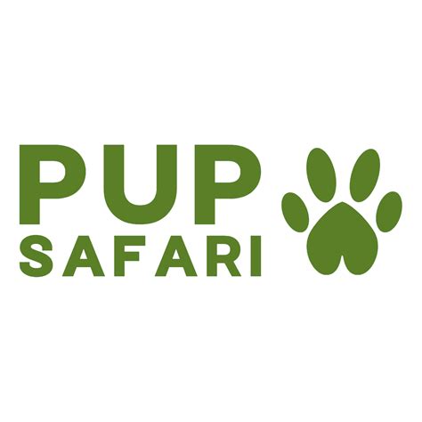 What is the Best & Safest Dog Car Restraint in Australia? A Comprehensive Comparison - Pup Safari