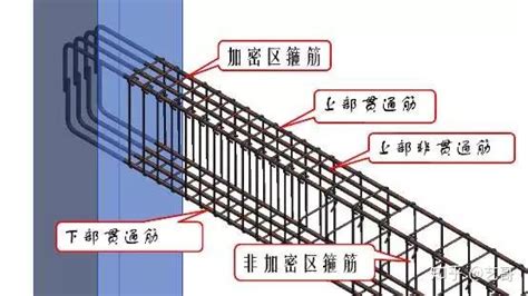 梁钢筋：看不懂赶紧转行