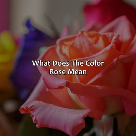 What Does The Color Of The Dominican Republic Flag Mean - colorscombo.com