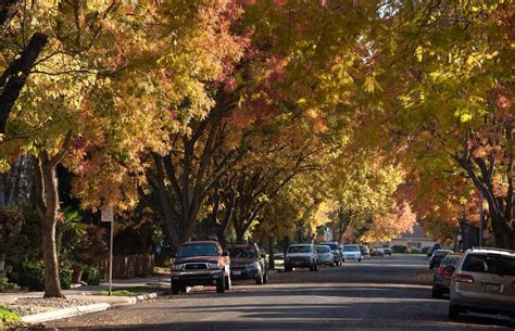 When does daylight saving time end in CA? See time change | Modesto Bee