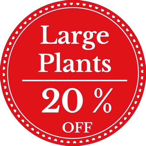 Large Indoor Plants Collection - Bring Nature & Freshness to Your Home ...