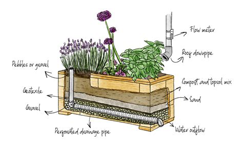 Understanding Sustainable Drainage Systems (SuDS) | Greenwood Plants