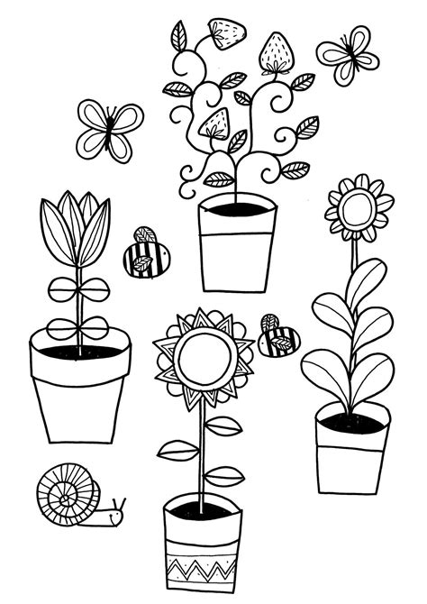 Entrelosmedanos: Plant Coloring Pages