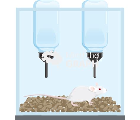 Image result for Acme Box Mouse Bot