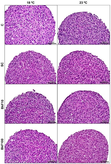 Effects of Benzo[k]fluoranthene at Two Temperatures on Viability ...