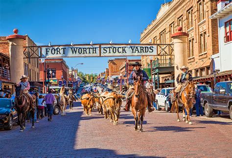 The Herd - Daily Longhorn Cattle Drive | Fort worth zoo, Fort worth hotels, Fort worth stockyards