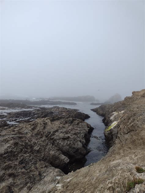 Spring Ranch Trail - Mendocino Land Trust