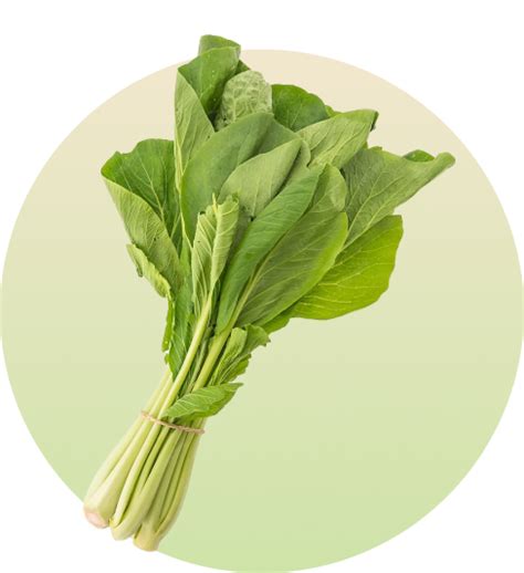 Natural Ingredients – Aurelle Health